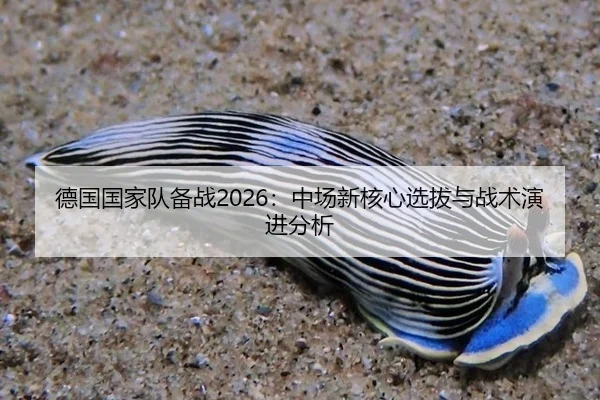 德国国家队备战2026：中场新核心选拔与战术演进分析