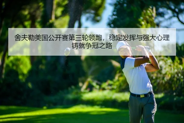 she-fu-lei-mei-guo-gong-kai-sai-di-san-lun-ling-pao-wen-ding-fa-hui-yu-qiang-da-xin-li-zhu-jiu-zheng-guan-zhi-lu-2-842.jpg