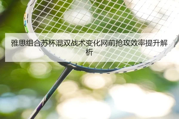 ya-si-zu-he-su-bei-hun-shuang-zhan-shu-bian-hua-wang-qian-qiang-gong-xiao-lv-ti-sheng-jie-xi-2-993.jpg